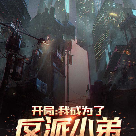 开局:我成为了反派小弟