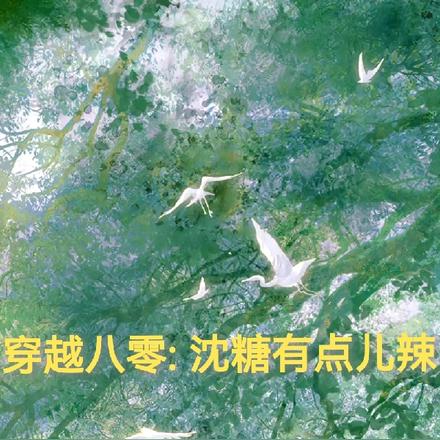 穿越八零沈糖有点辣