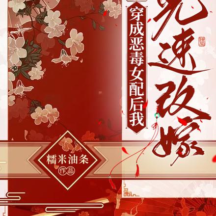 穿成恶毒女配后我光速改嫁