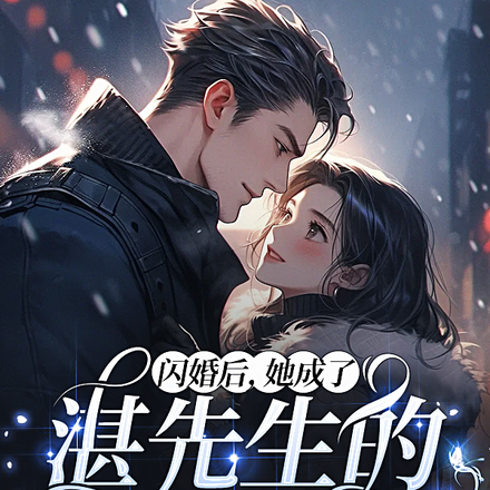 闪婚后,她成了湛先生的心尖宠
