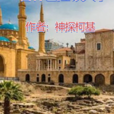 普林巴拉顿大学