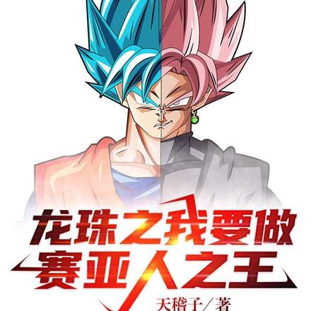 龙珠之我要做赛亚人之王