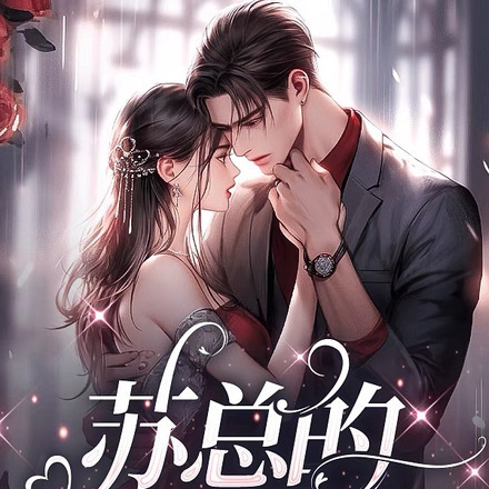 苏总的女人