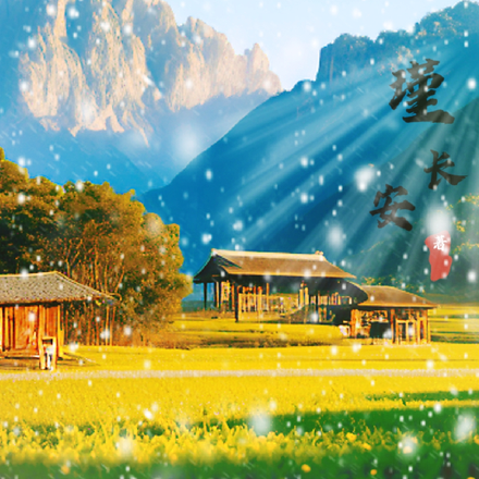 身穿后，她带着善堂孩子发家致富