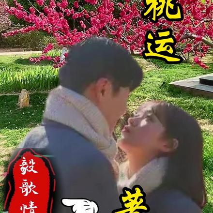 哑婿桃运