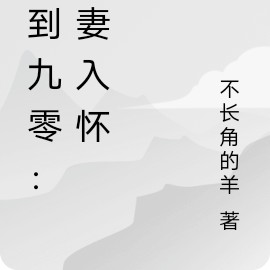 穿到九零：娇妻入怀