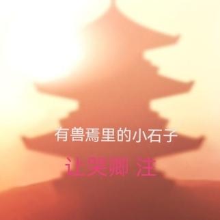 有兽焉里的小石子