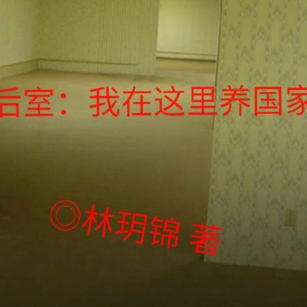 后室:我在这里养国家