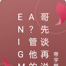 Enigma？管他的哥先谈再说