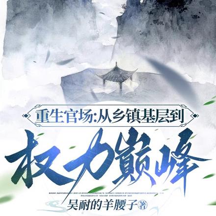重生官场：从乡镇基层到权力巅峰