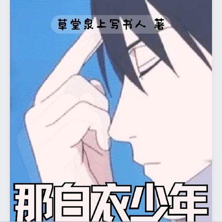 那白衣少年,是佐助