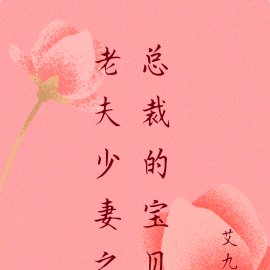 老夫少妻之总裁的宝贝