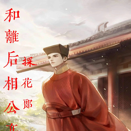 和离后相公高中探花郎