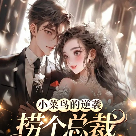 小菜鸟的逆袭,捞个总裁当老公