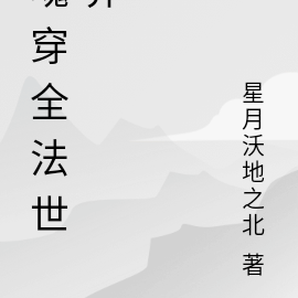 魂穿全法世界