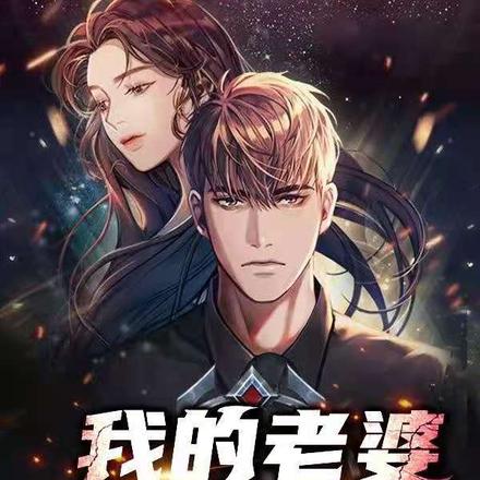 我的老婆是女贼