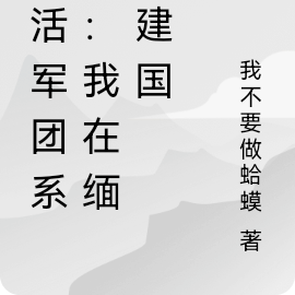 激活无敌军团系统:我在缅北建国
