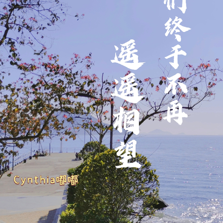 我们终于不再遥遥相望