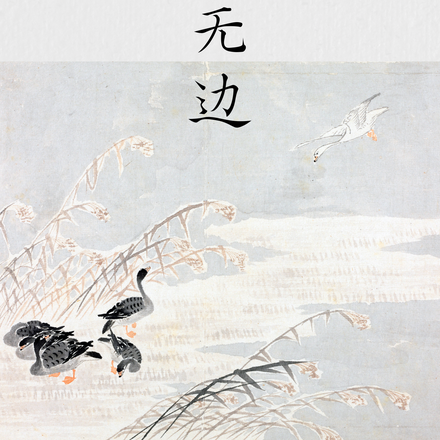 仰望无边
