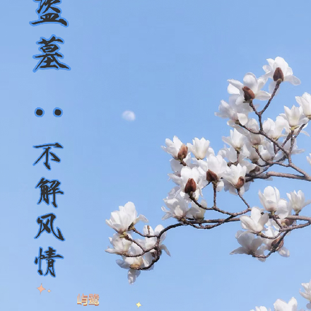 盗墓：不解风情