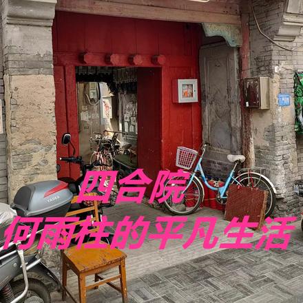 四合院:何雨柱的平凡生活