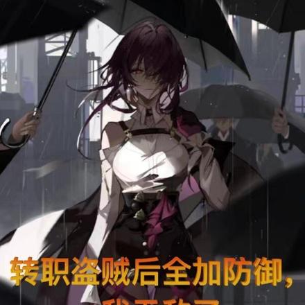 转职盗贼后全加防御，我无敌了