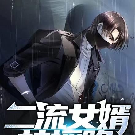 二流女婿扶摇路