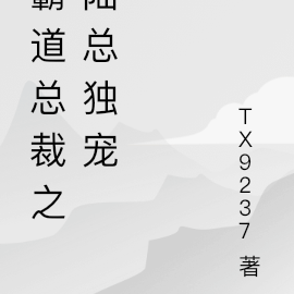 霸道总裁之陆总独宠