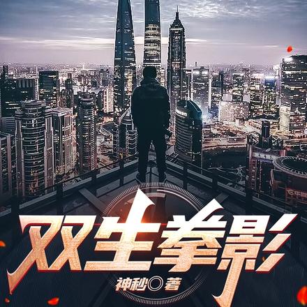 双生拳影