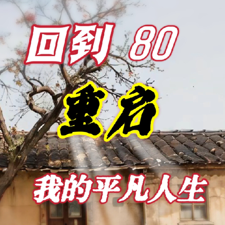 回到80:重启我的平凡人生