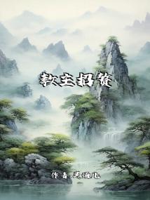 教主招赘否