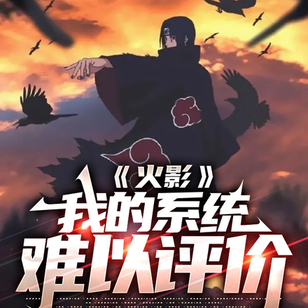 火影:我的系统难以评价
