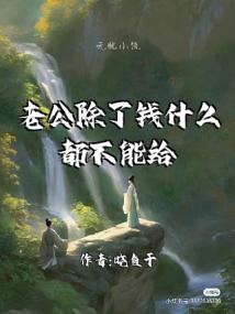 老公除了钱什么都不能给我