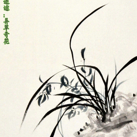 异草奇花