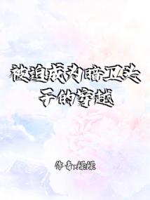 被迫成为暗卫头子的穿越女