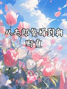 从夫郎赘婿到朝野重臣