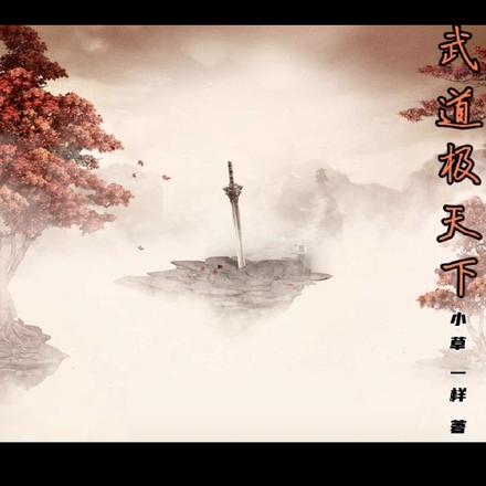 武道极天下
