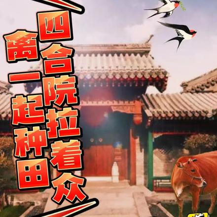 四合院：拉着众禽一起种田