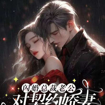 闪婚总裁老公对契约娇妻疯狂上瘾