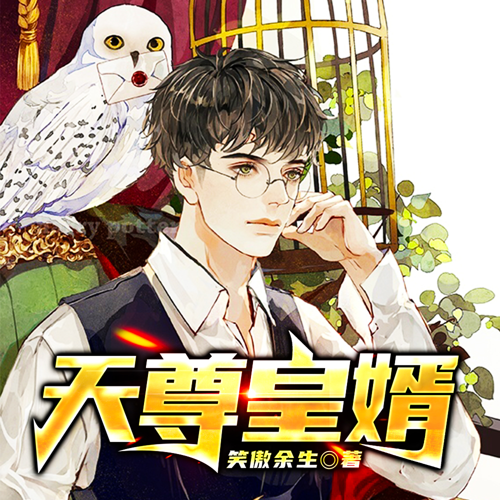 天尊皇婿