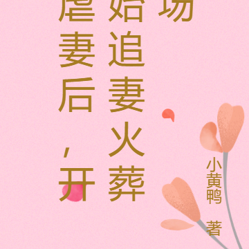 虐妻后,开始追妻火葬场