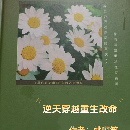 逆天穿越重生改命