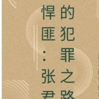 悍匪：张君的犯罪之路