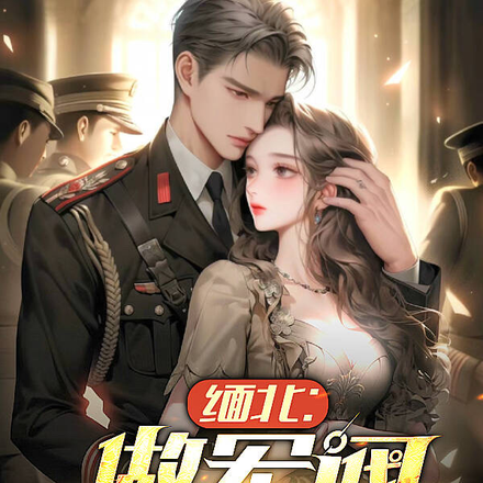 缅北:做军阀更有性价比!