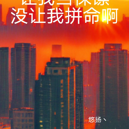 让我当保镖没让我拼命啊