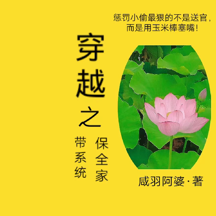 穿越之带系统保全家