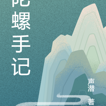 陀螺手记