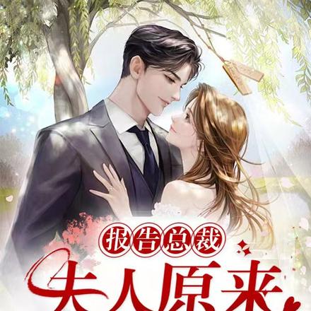 报告总裁,夫人原来是凤凰