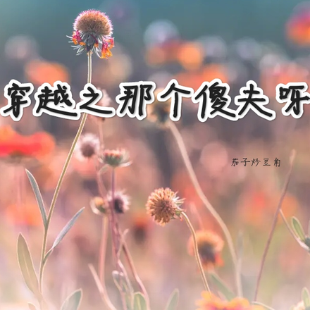 穿越之那个傻夫呀