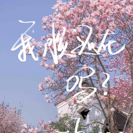 我脸还在吗